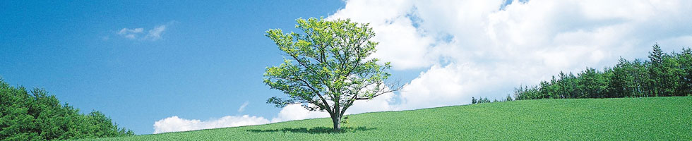 省エネ・省力化